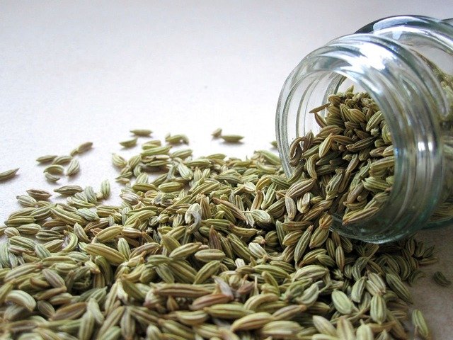 Cumin seeds increases digestion